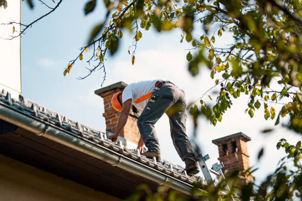 Best New Roof Installation  in Puget Island, WA