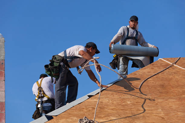 Best Commercial Roof Installation  in Puget Island, WA
