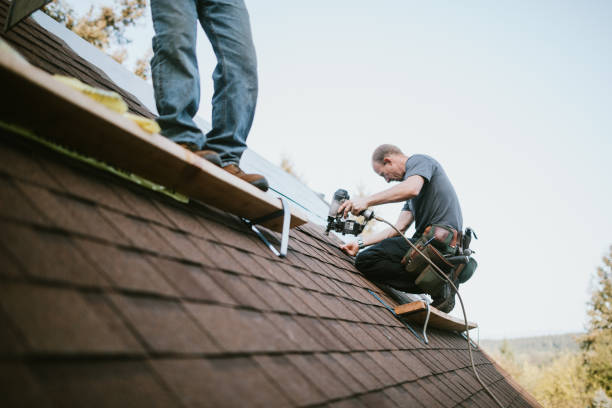 Best Emergency Roof Repair  in Puget Island, WA